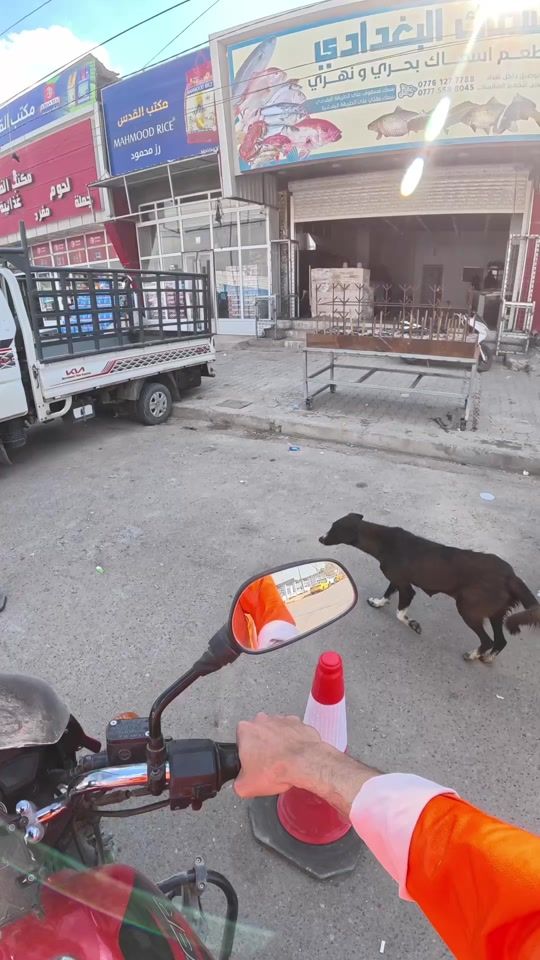 TikTok video thumbnail by ibn_hadi0