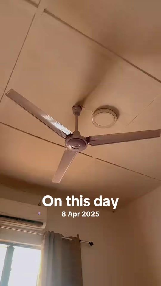 TikTok video thumbnail by wiseking550