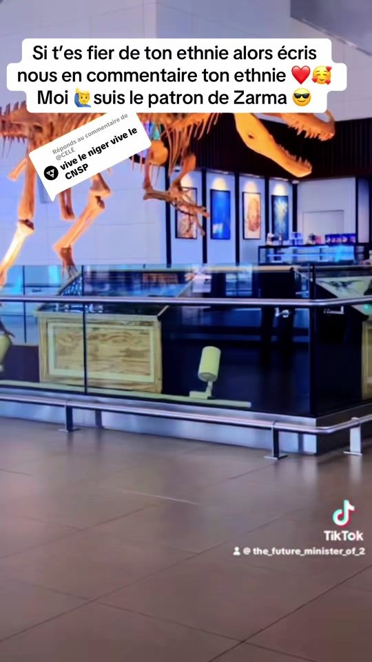 TikTok video thumbnail by the_future_minister_of_2