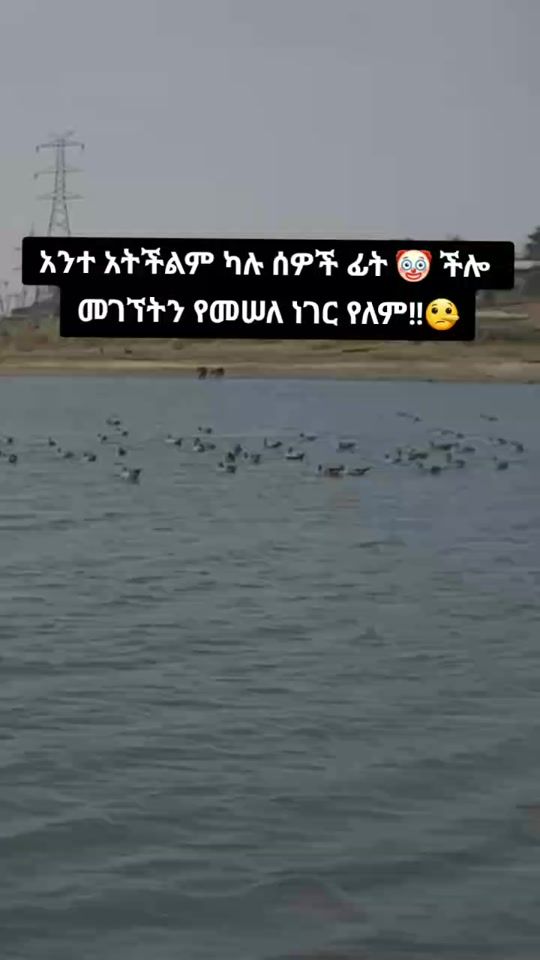 TikTok video thumbnail by fedlu49