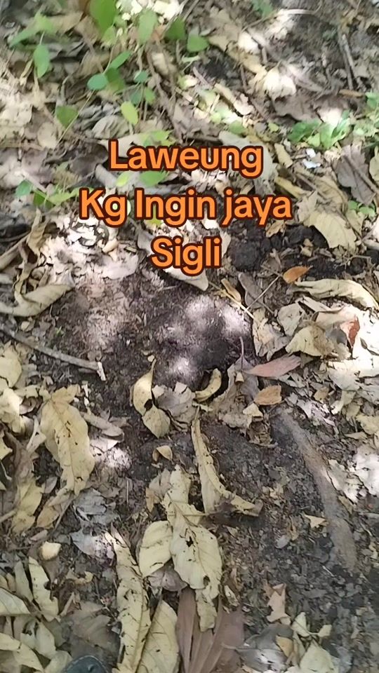 TikTok video thumbnail by uncle.mus7