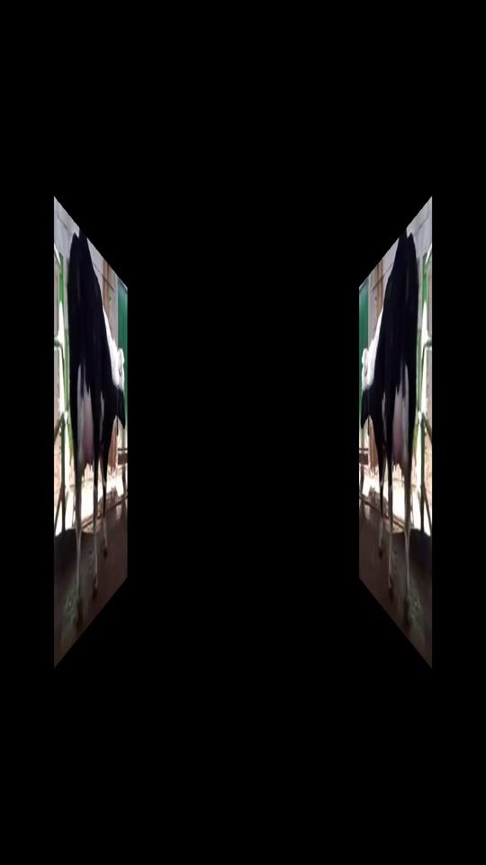 TikTok video thumbnail by denizkoldemirbayl