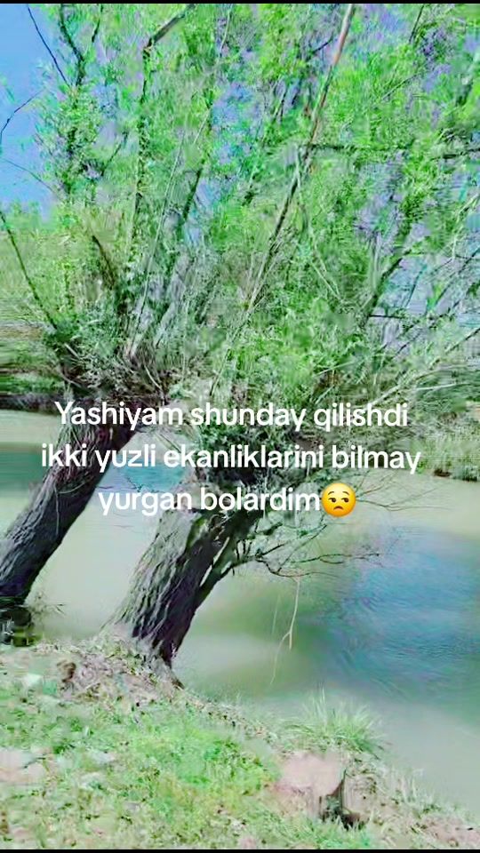 TikTok video thumbnail by feruzajon77