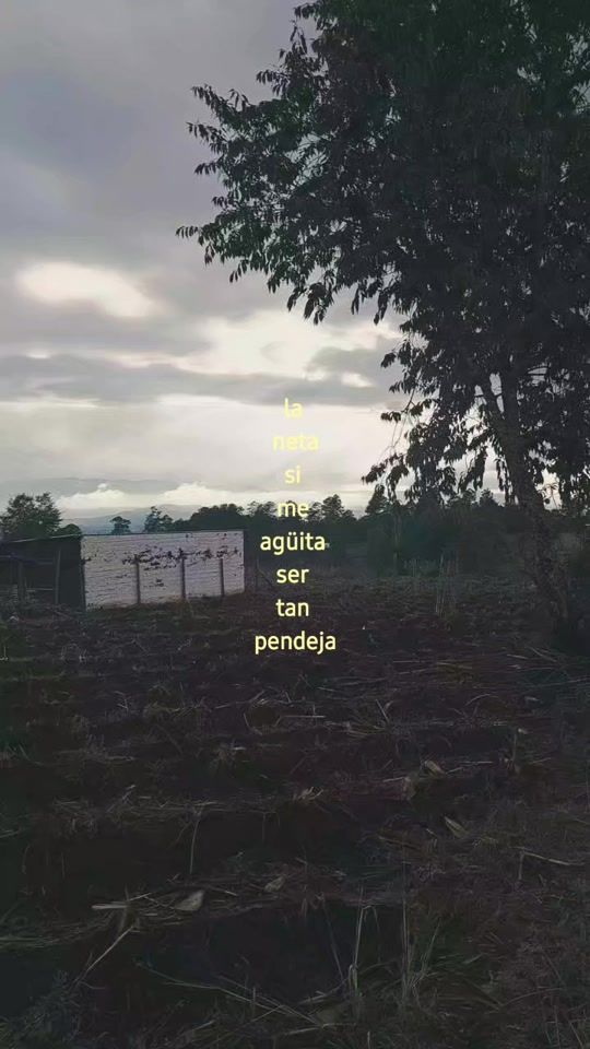 TikTok video thumbnail by mdelyn2