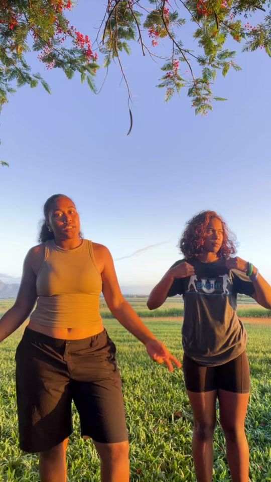TikTok video thumbnail by brie_none2