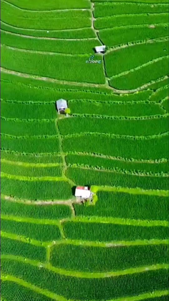 TikTok video thumbnail by _f_a_r_m_