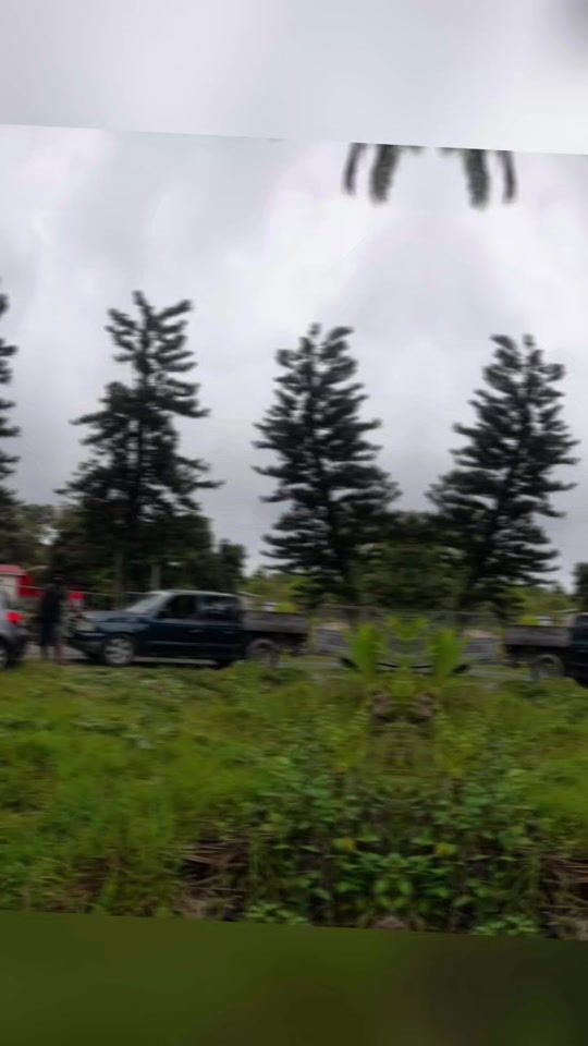 TikTok video thumbnail by shemavyaaynord