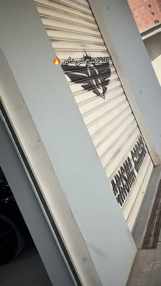 TikTok video thumbnail by karisma.garage05