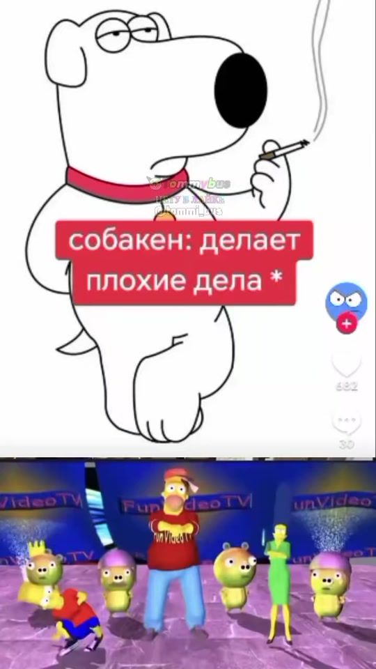 TikTok video thumbnail by tommi_bus