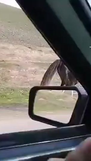 TikTok video thumbnail by yorga.atlar1