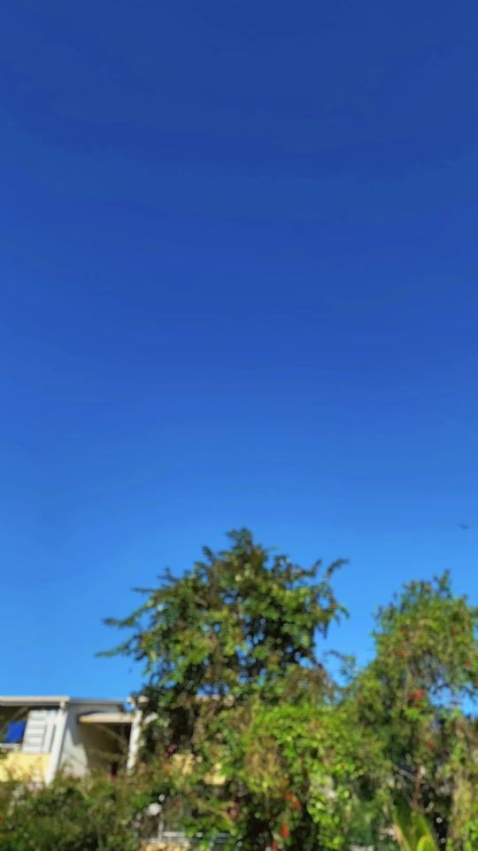 TikTok video thumbnail by texoboys