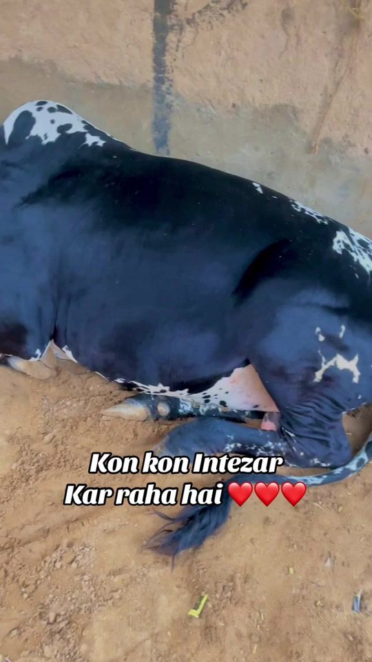 TikTok video thumbnail by smarty_zaib
