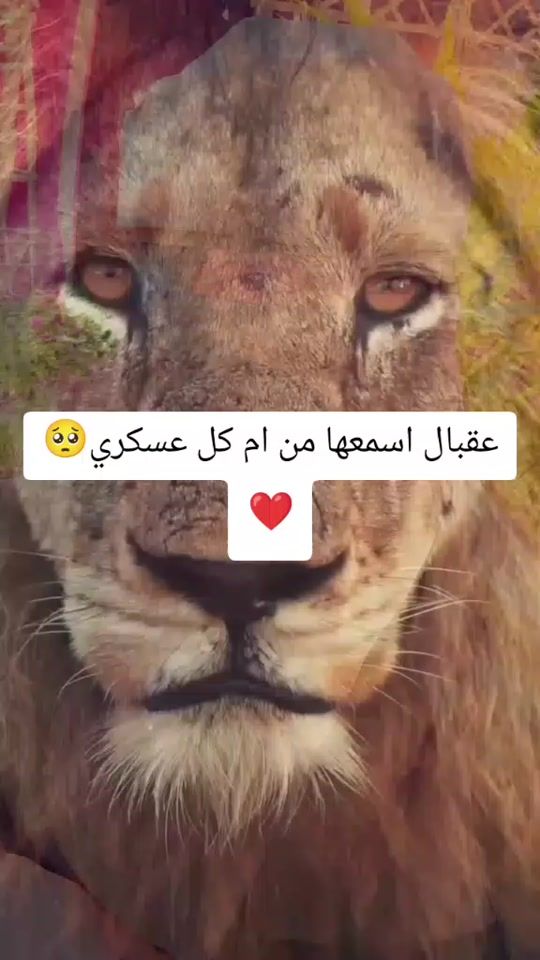 TikTok video thumbnail by sand_____e0