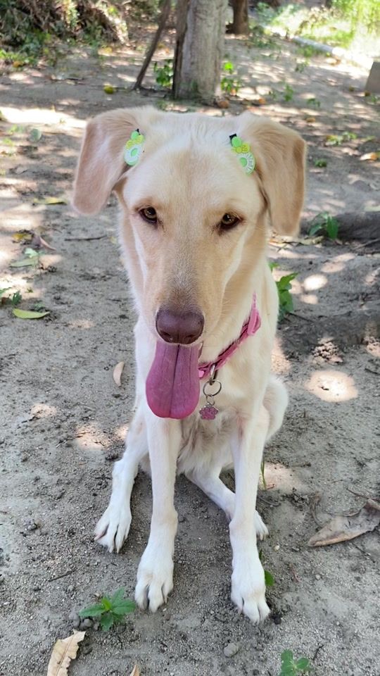 TikTok video thumbnail by molly.labra