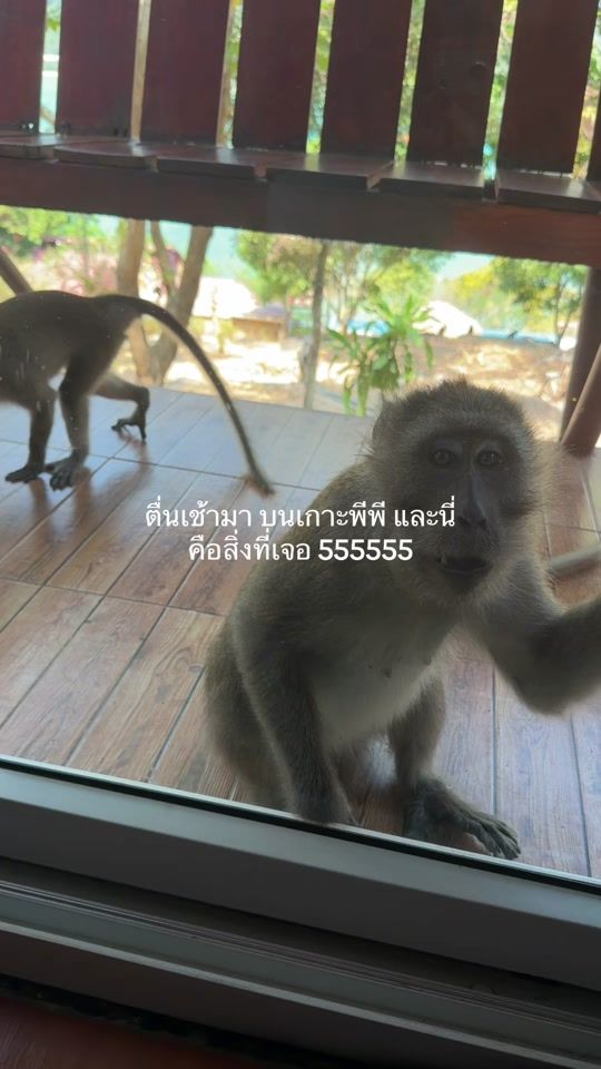 TikTok video thumbnail by ichbininklish_