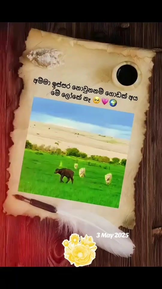 TikTok video thumbnail by chanchala1989