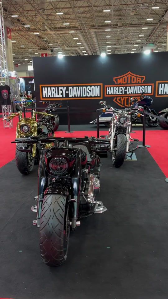 TikTok video thumbnail by harley_davidson75