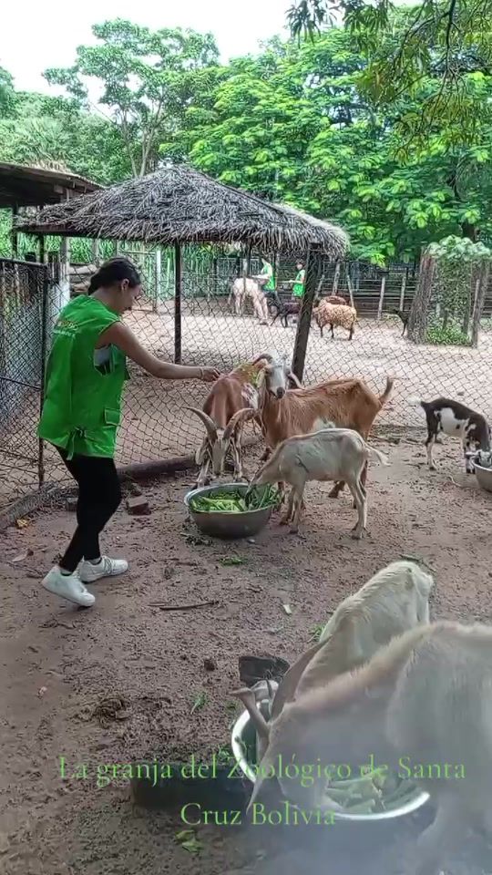 TikTok video thumbnail by abrahamr1230