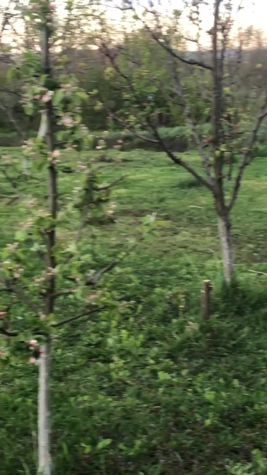 TikTok video thumbnail by iylia_sp