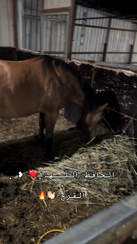 TikTok video thumbnail by mhammd857
