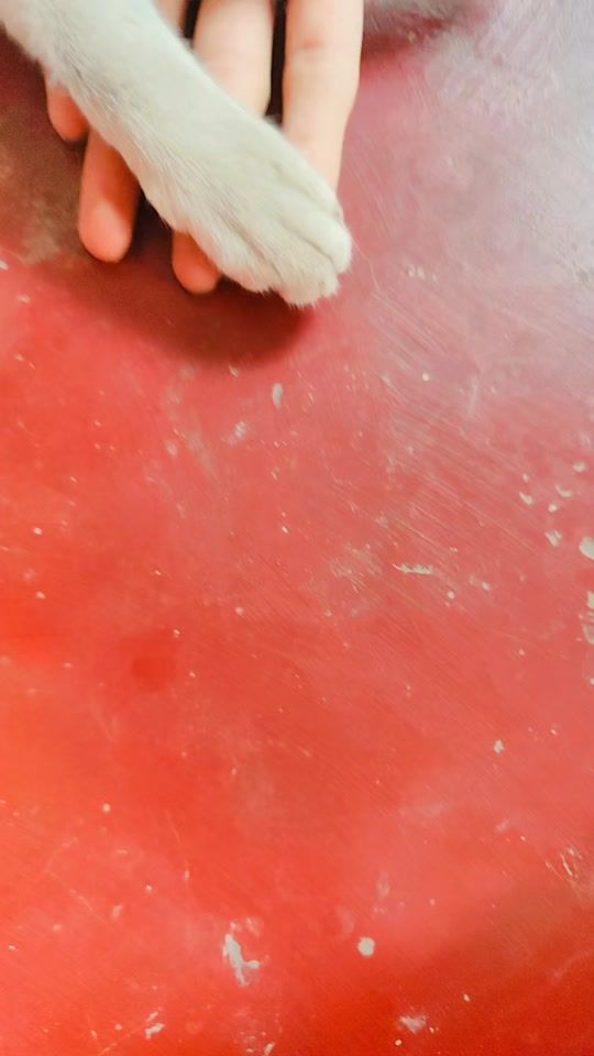 TikTok video thumbnail by silent_killer_3217