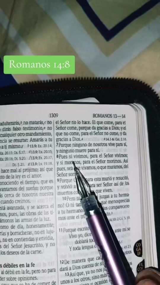 TikTok video thumbnail by leandro.u.69