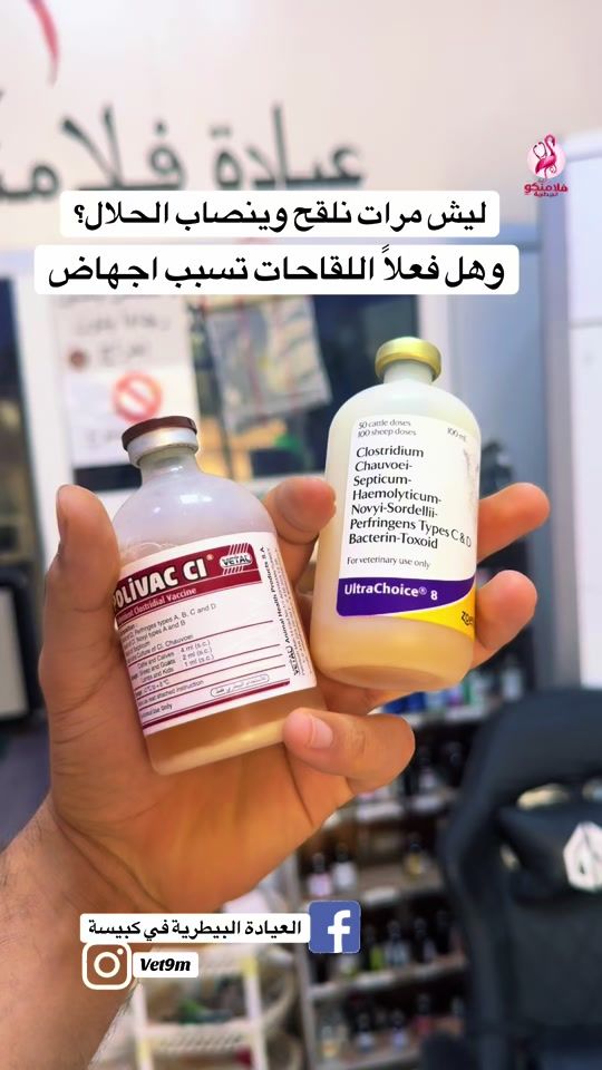 TikTok video thumbnail by vet9m