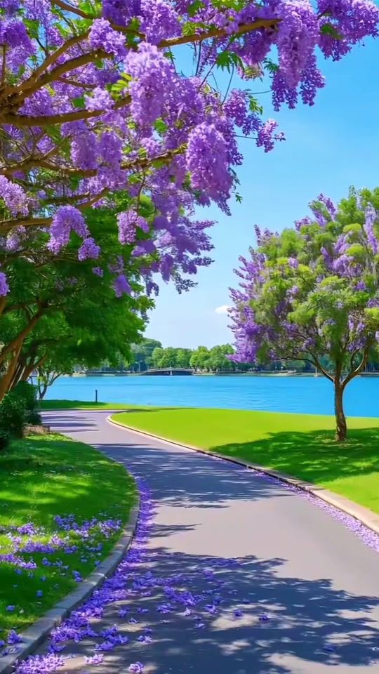 TikTok video thumbnail by kyei.baffour.chri