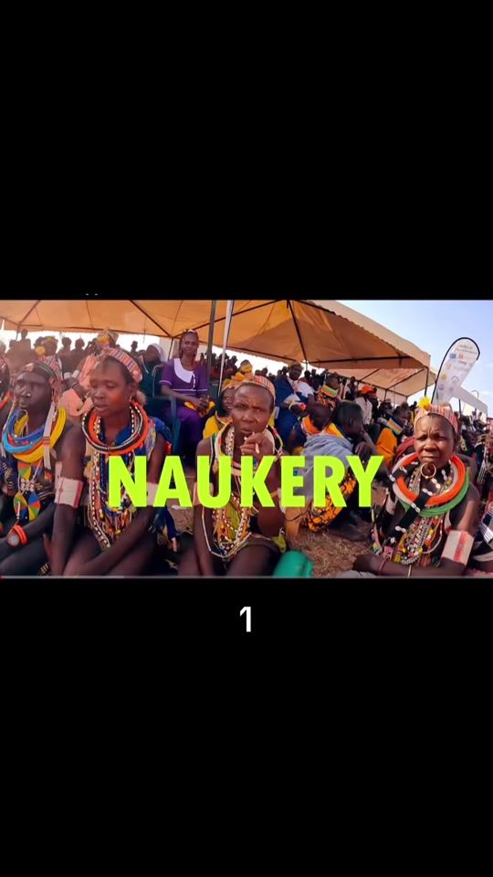 TikTok video thumbnail by skylavane619