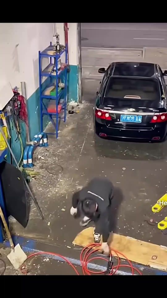 TikTok video thumbnail by ikicaira