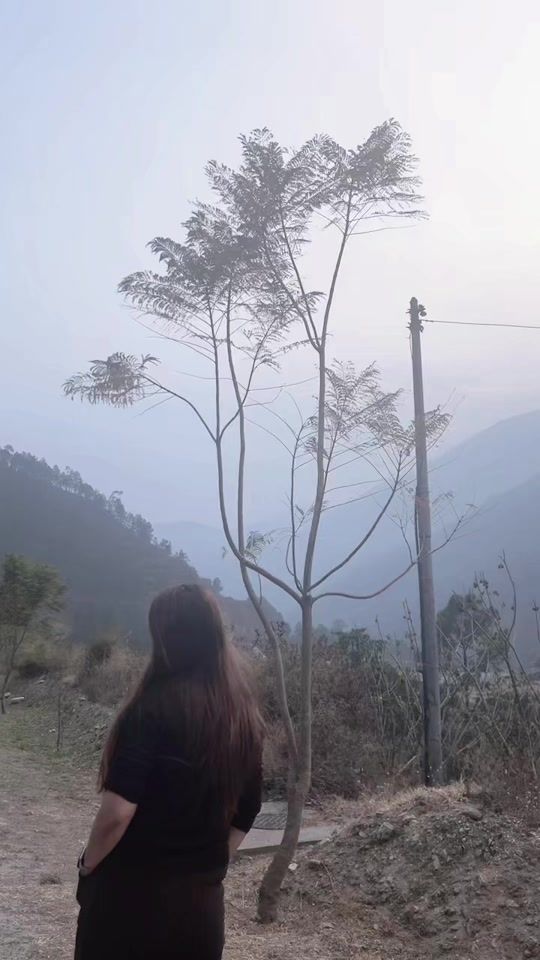 TikTok video thumbnail by sonampelden820