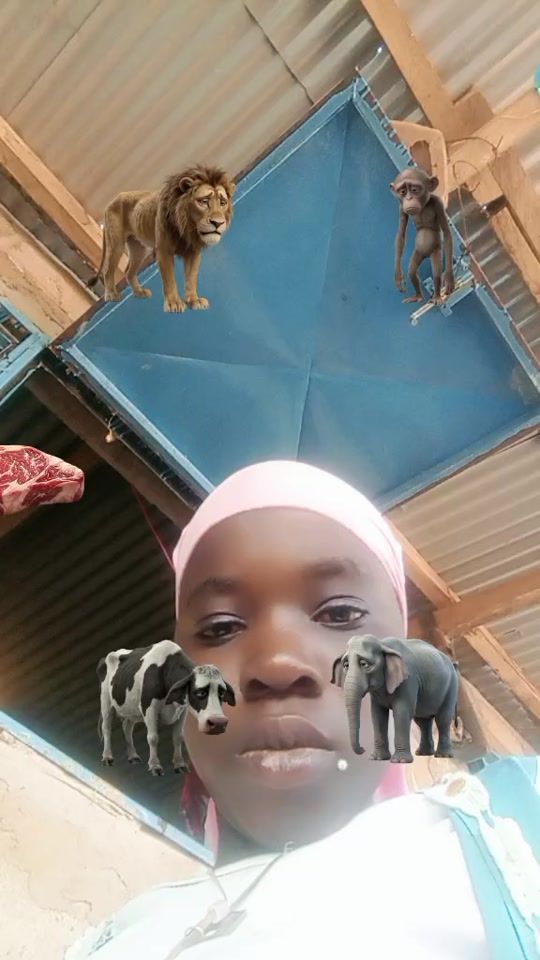 TikTok video thumbnail by malgoubrinata