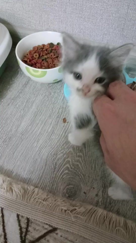 TikTok video thumbnail by ruslancik838