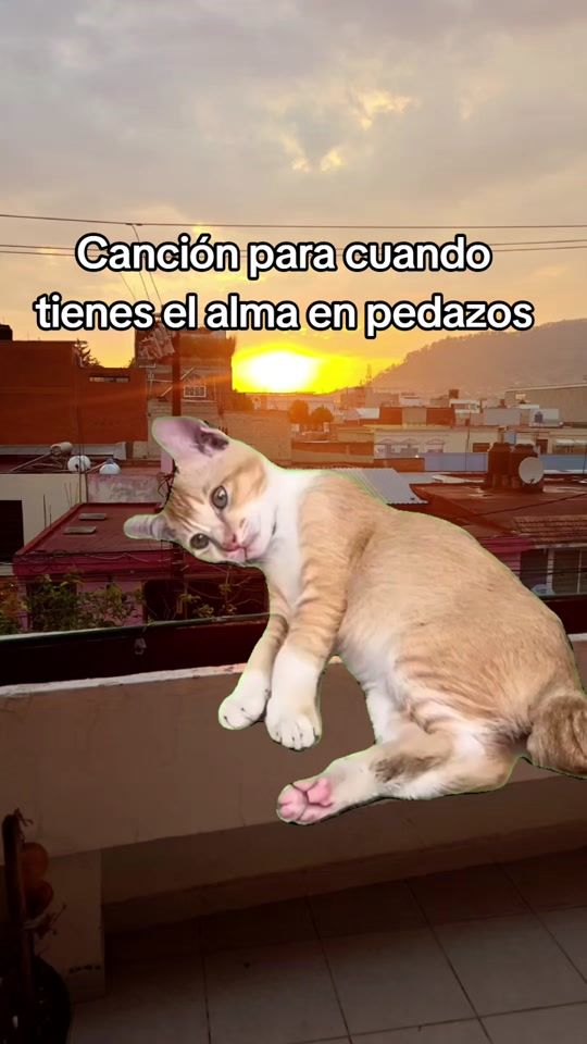 TikTok video thumbnail by miguelivanmac