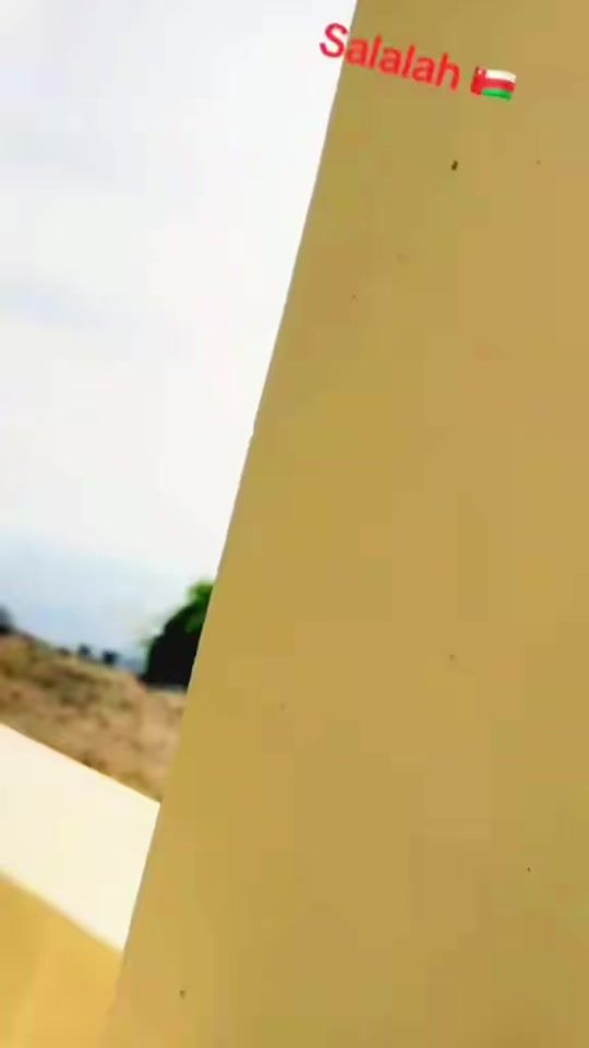 TikTok video thumbnail by dewdrops709