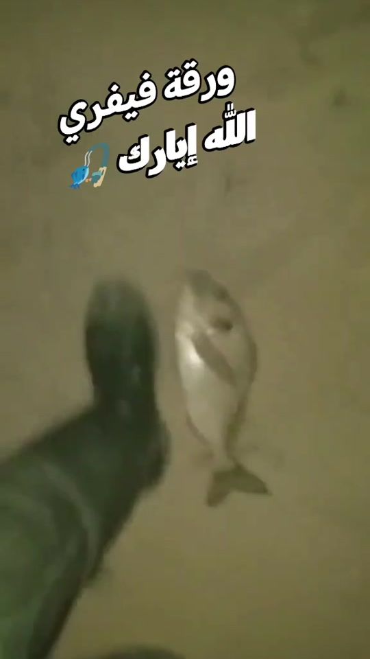 TikTok video thumbnail by boughdirichiheb