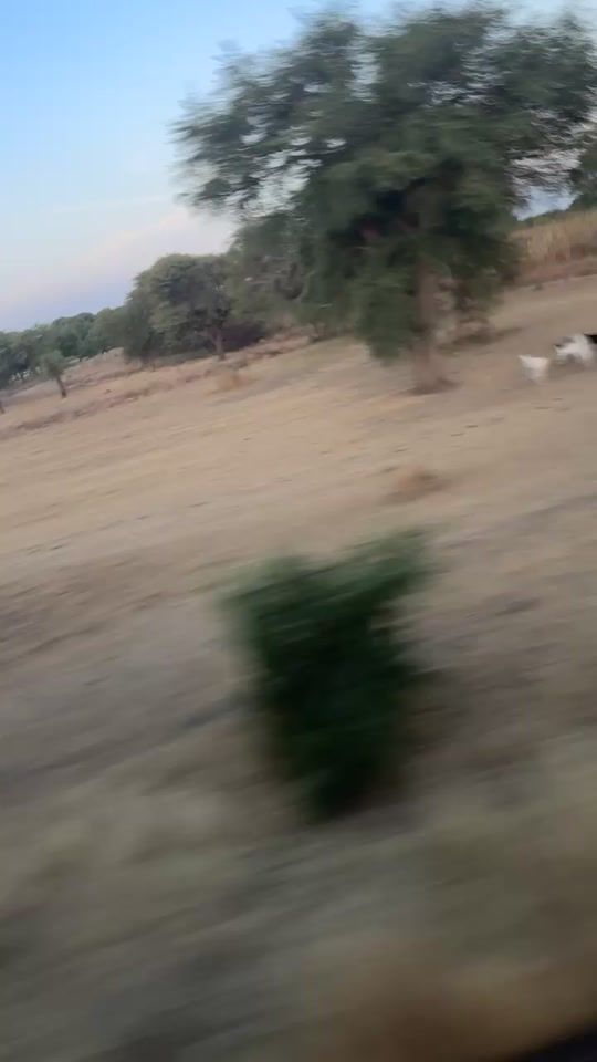TikTok video thumbnail by une.villageoise2