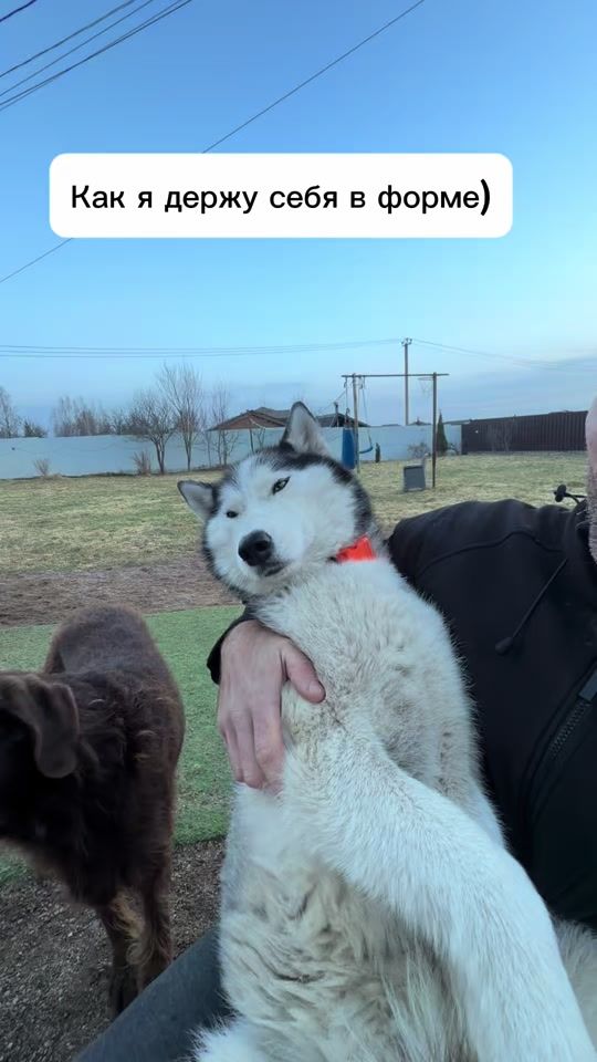 TikTok video thumbnail by goshanchik83