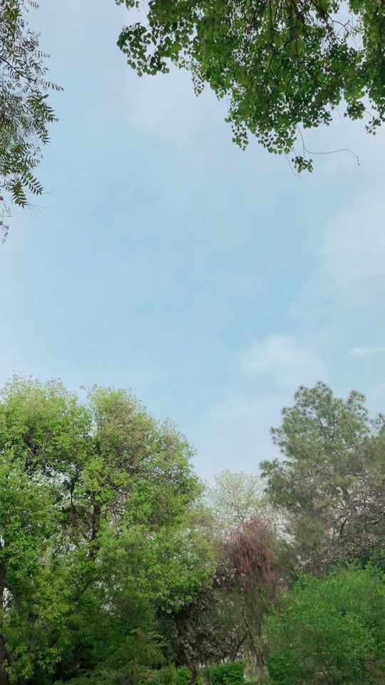 TikTok video thumbnail by brandxmalik