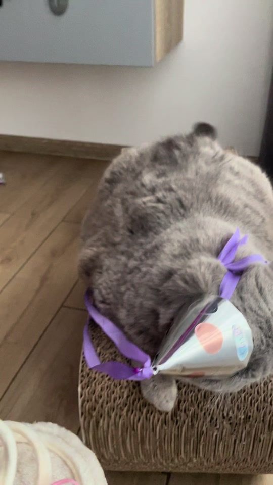 TikTok video thumbnail by iamkeska