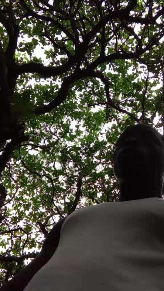 TikTok video thumbnail by vibe_killers