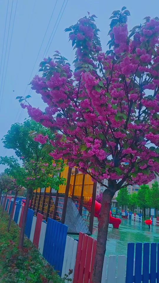 TikTok video thumbnail by x_qw26