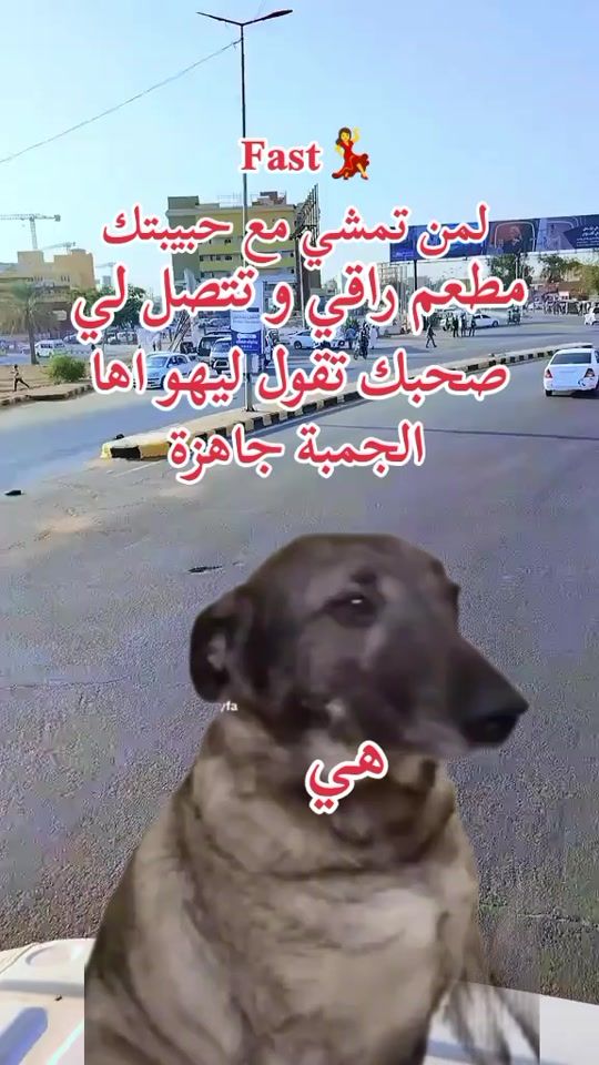 TikTok video thumbnail by dollar21264