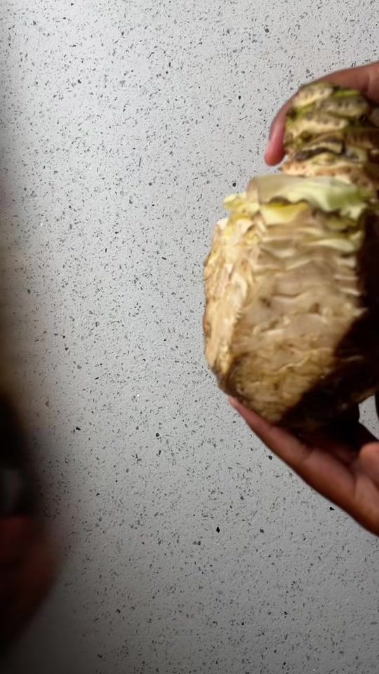 TikTok video thumbnail by stones_kitchen00