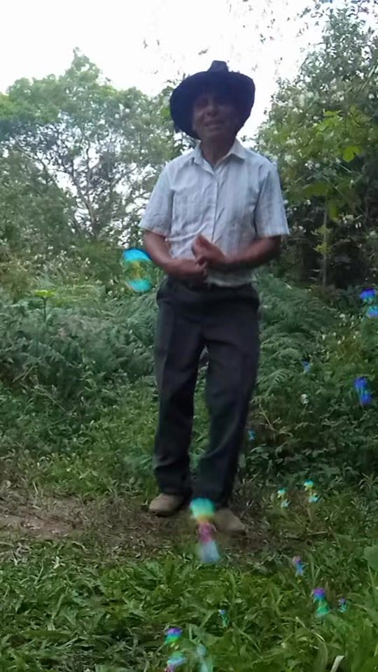 TikTok video thumbnail by royer.sael