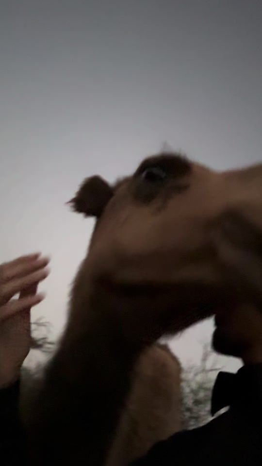 TikTok video thumbnail by jjiij.1