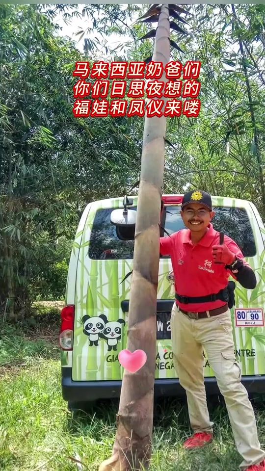 TikTok video thumbnail by panda5200