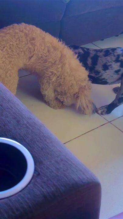 TikTok video thumbnail by yeramis