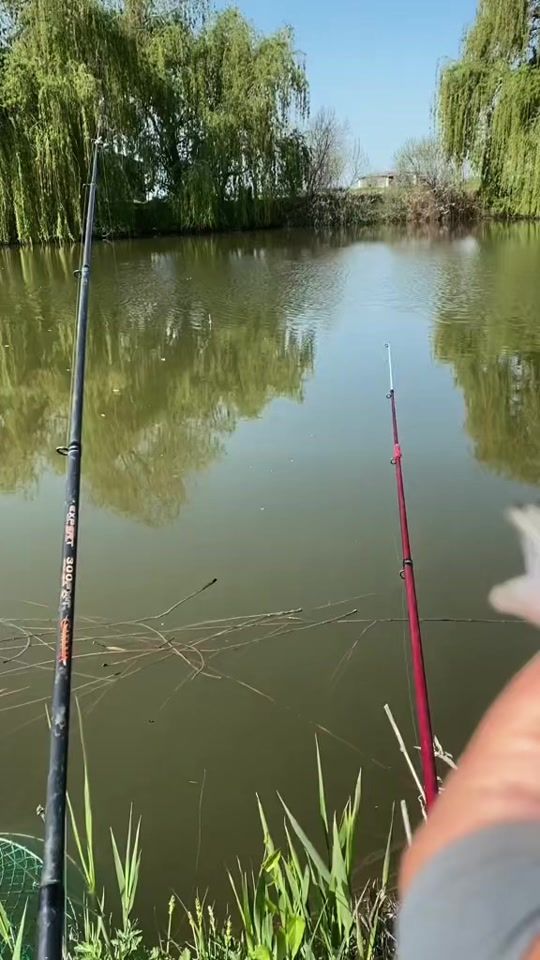 TikTok video thumbnail by asian_wanderer