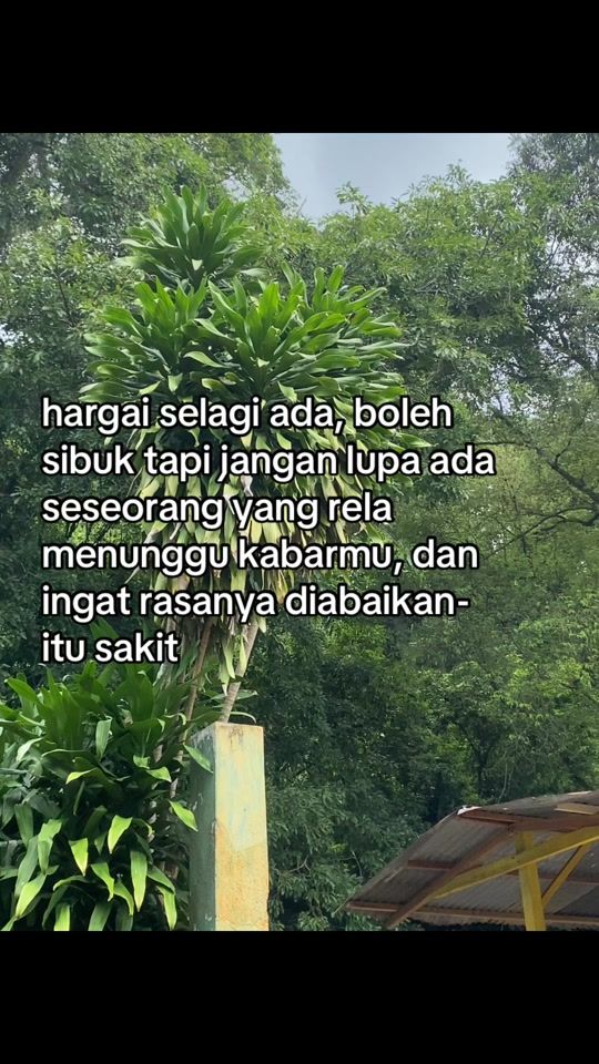 TikTok video thumbnail by ruang_sad._